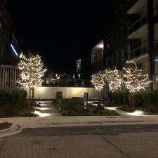 Holiday Lights- Broder Property Management 6